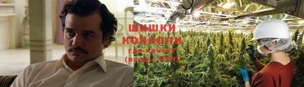 PSILOCYBIN Вязники