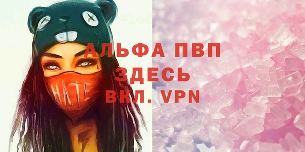 PSILOCYBIN Вязники