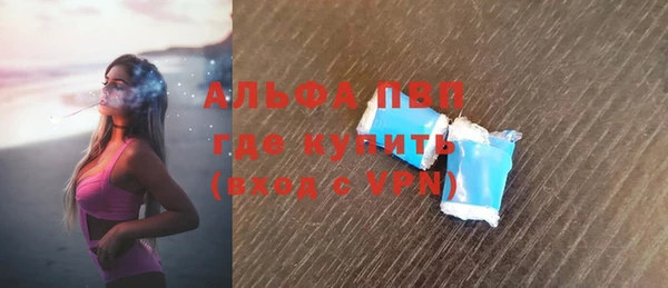 сатива Вязьма