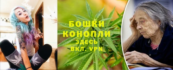 PSILOCYBIN Вязники