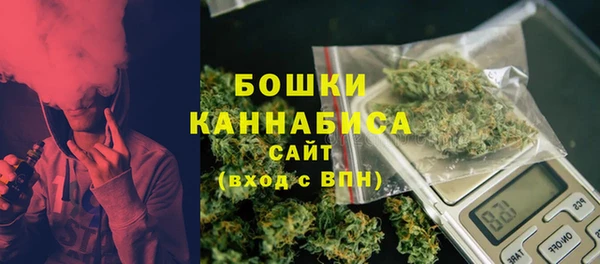 сатива Вязьма