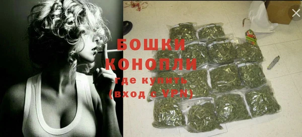сатива Вязьма