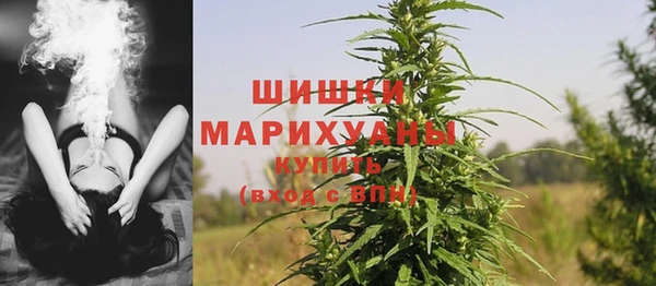 PSILOCYBIN Вязники