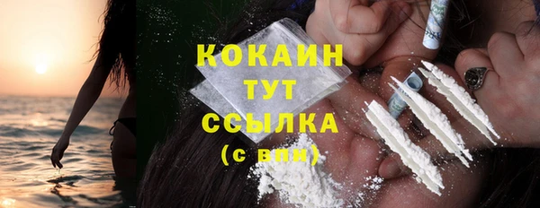 PSILOCYBIN Вязники