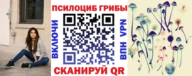 Галлюциногенные грибы Psilocybine cubensis  Нефтекамск 